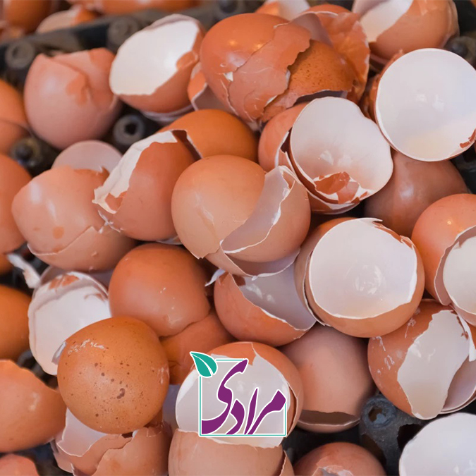 آیا می شود از پوست تخم مرغ به عنوان منبع طبیعی کلسیم استفاده کرد؟
