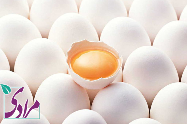 آیا زرده تخم مرغ موجب افزایش کلسترول و بیماری قلبی می شود؟